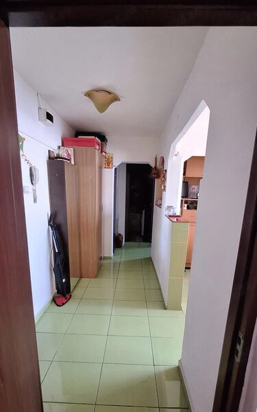 Obor, Colentina, Teiul Doamnei langa Sectia 7 Politie,